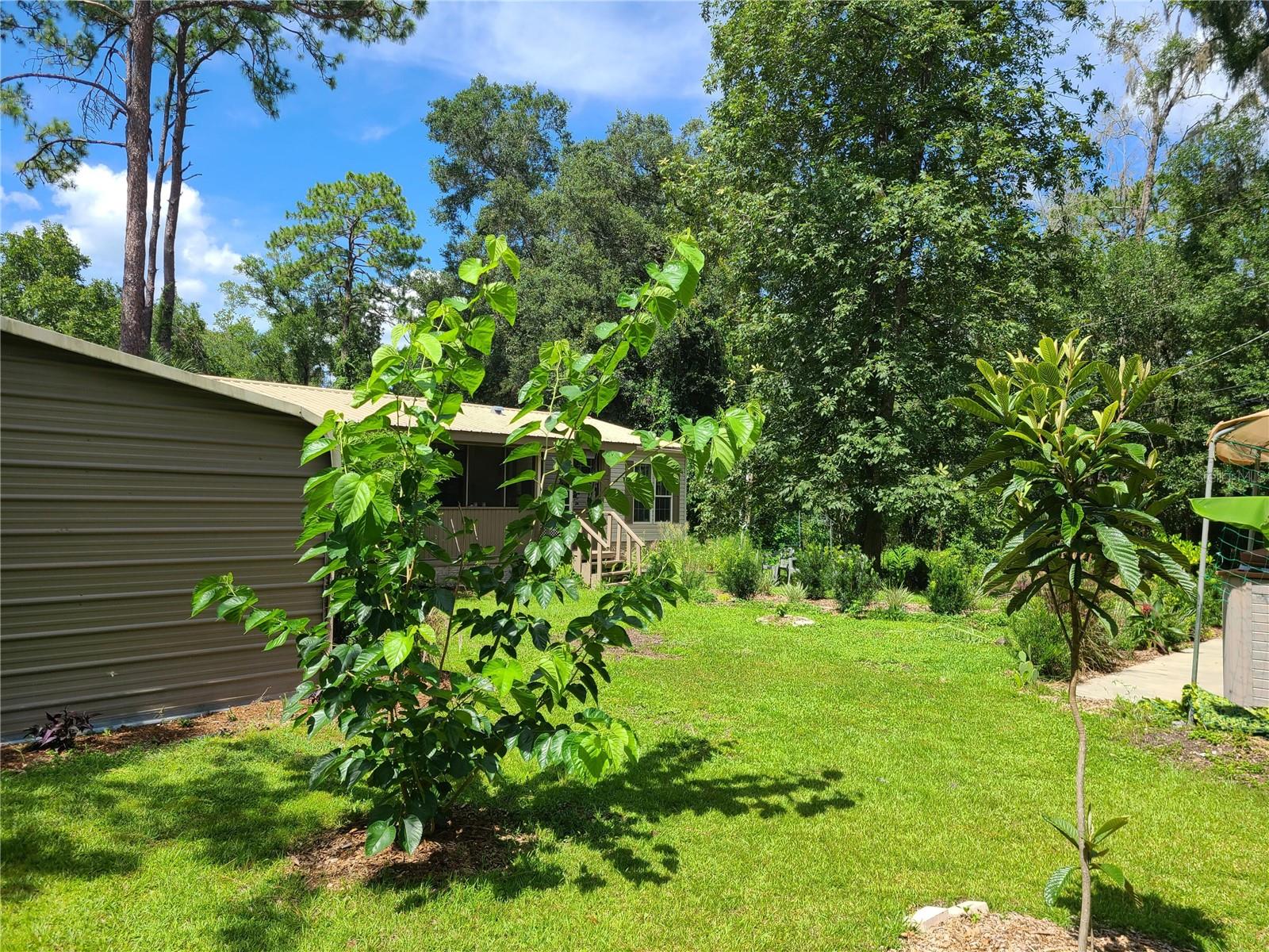 10127 SW 73RD AVE, GAINESVILLE, FL, 32608