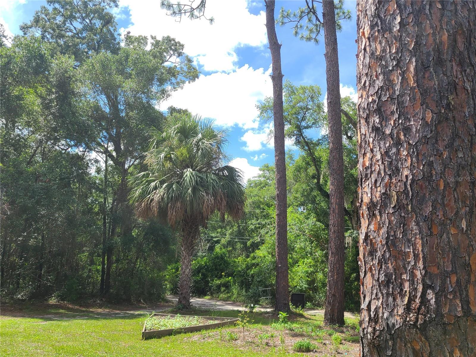 10127 SW 73RD AVE, GAINESVILLE, FL, 32608