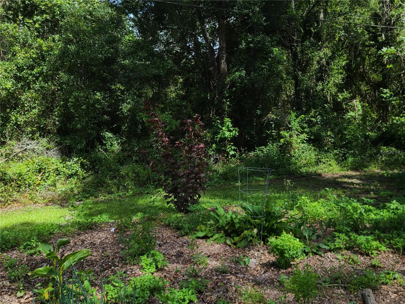 10127 SW 73RD AVE, GAINESVILLE, FL, 32608