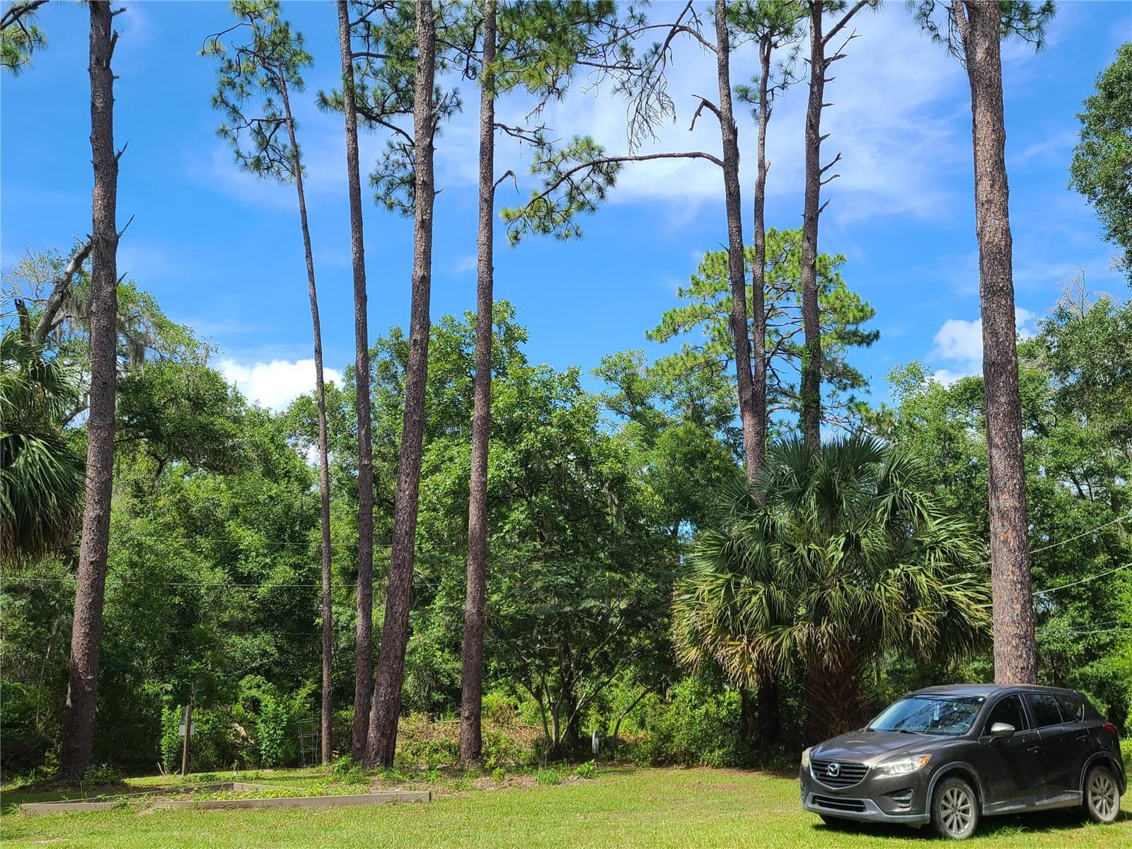 10127 SW 73RD AVE, GAINESVILLE, FL, 32608