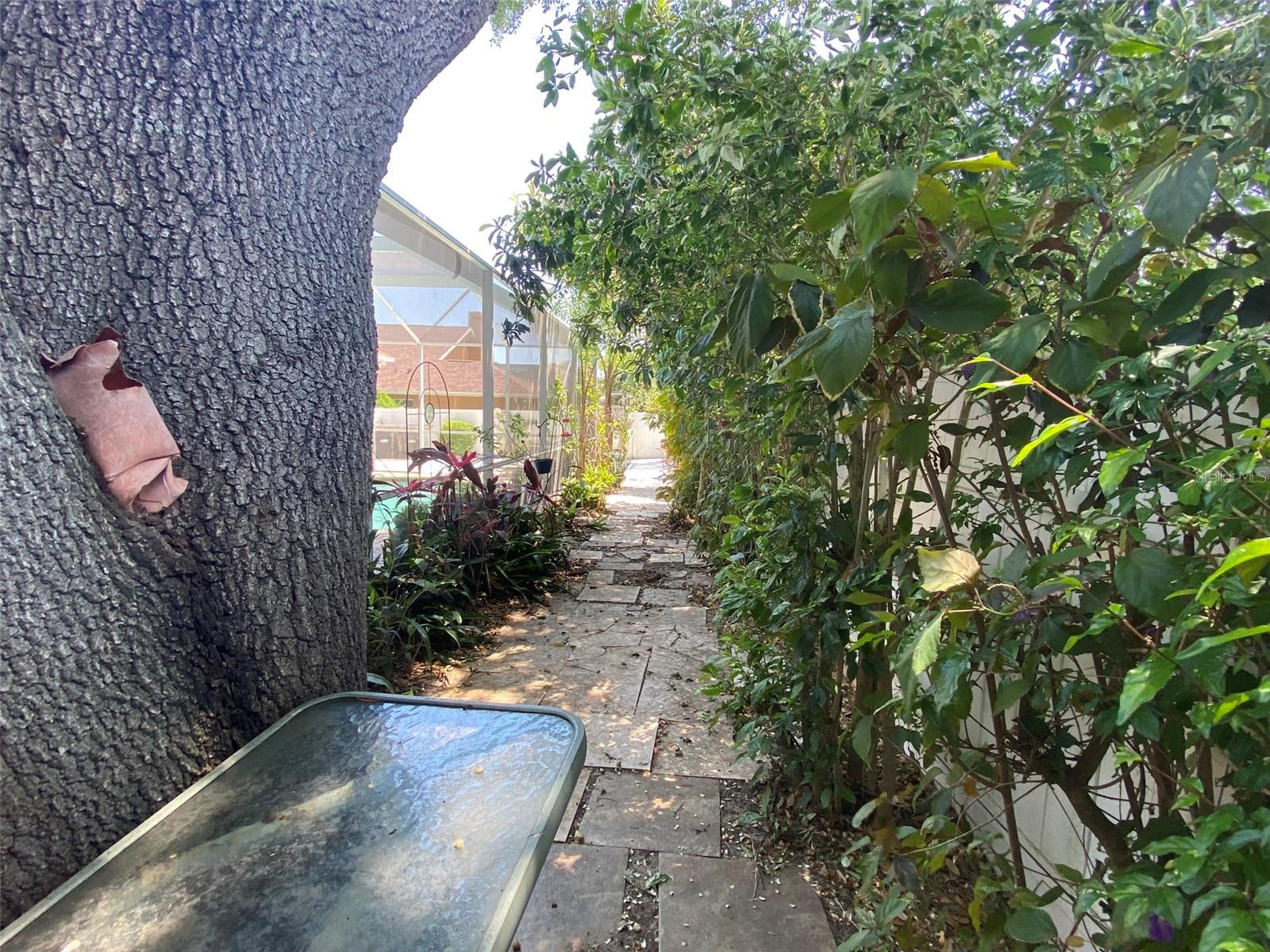 VALRICO GROVES, VALRICO, FL, 33594