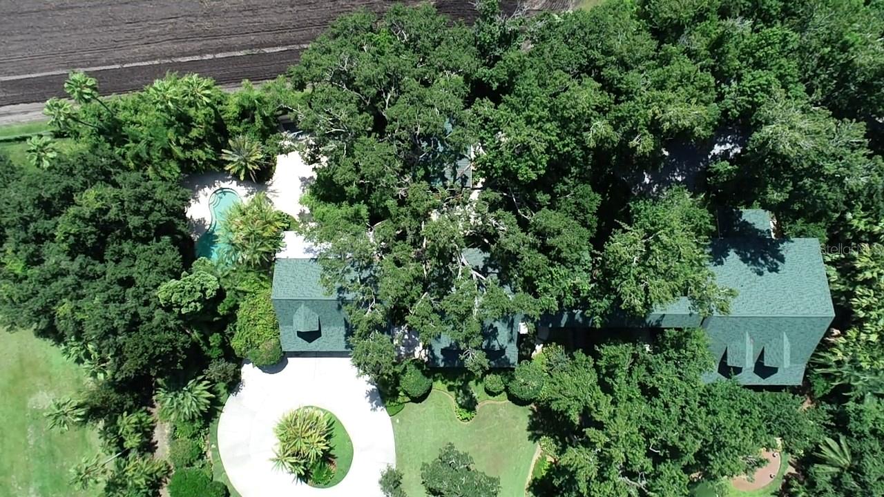 3515 GALLAGHER RD, DOVER, FL, 33527