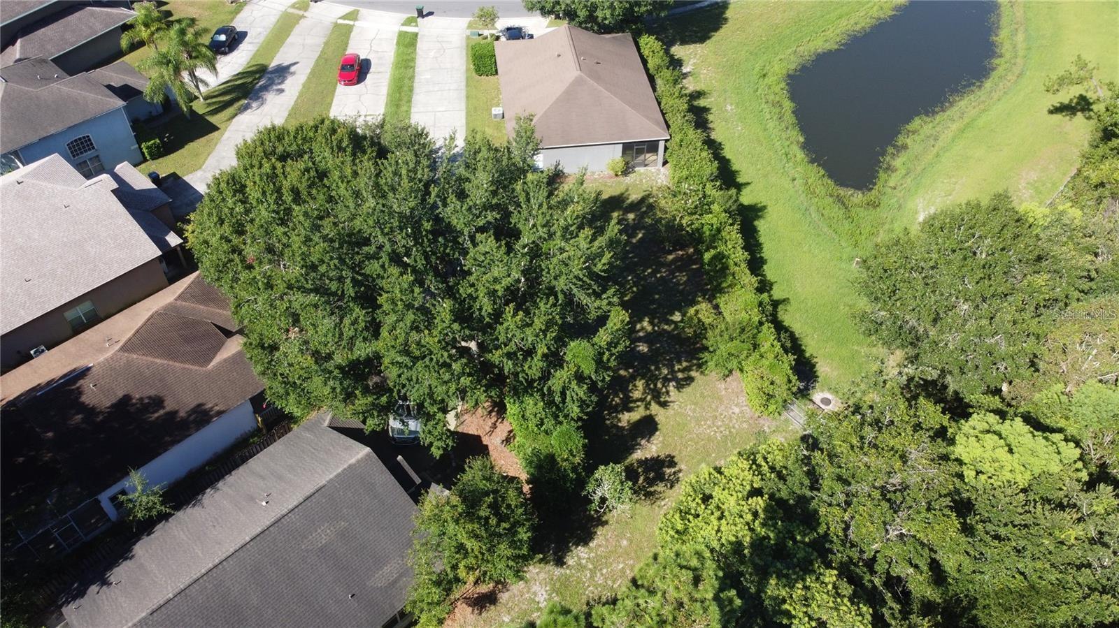 9145 TELFER RUN, ORLANDO, FL, 32817