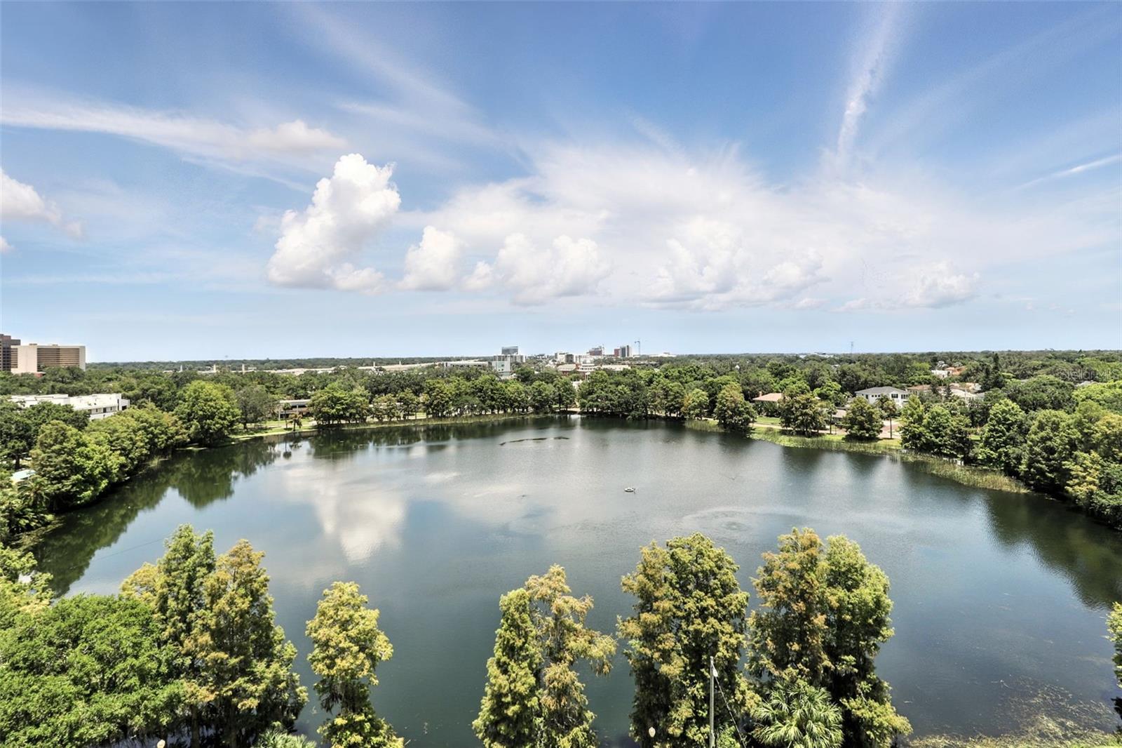 400 E COLONIAL DR #806, ORLANDO, FL, 32803