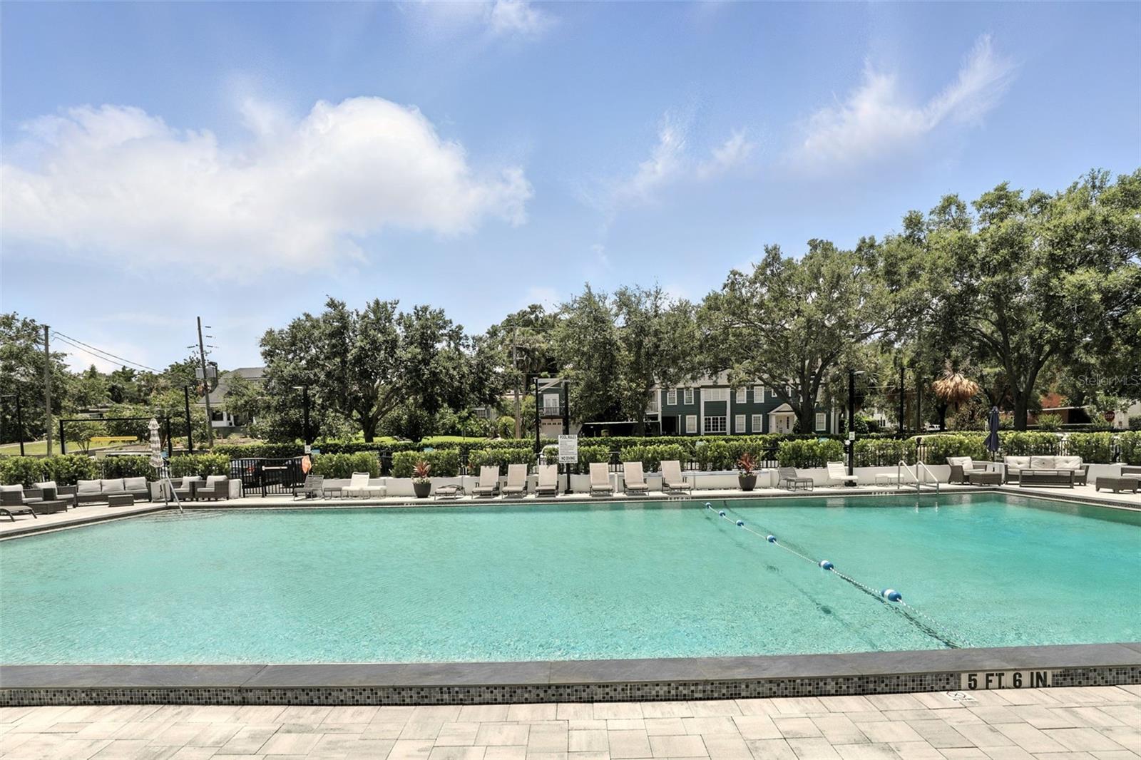 400 E COLONIAL DR #806, ORLANDO, FL, 32803