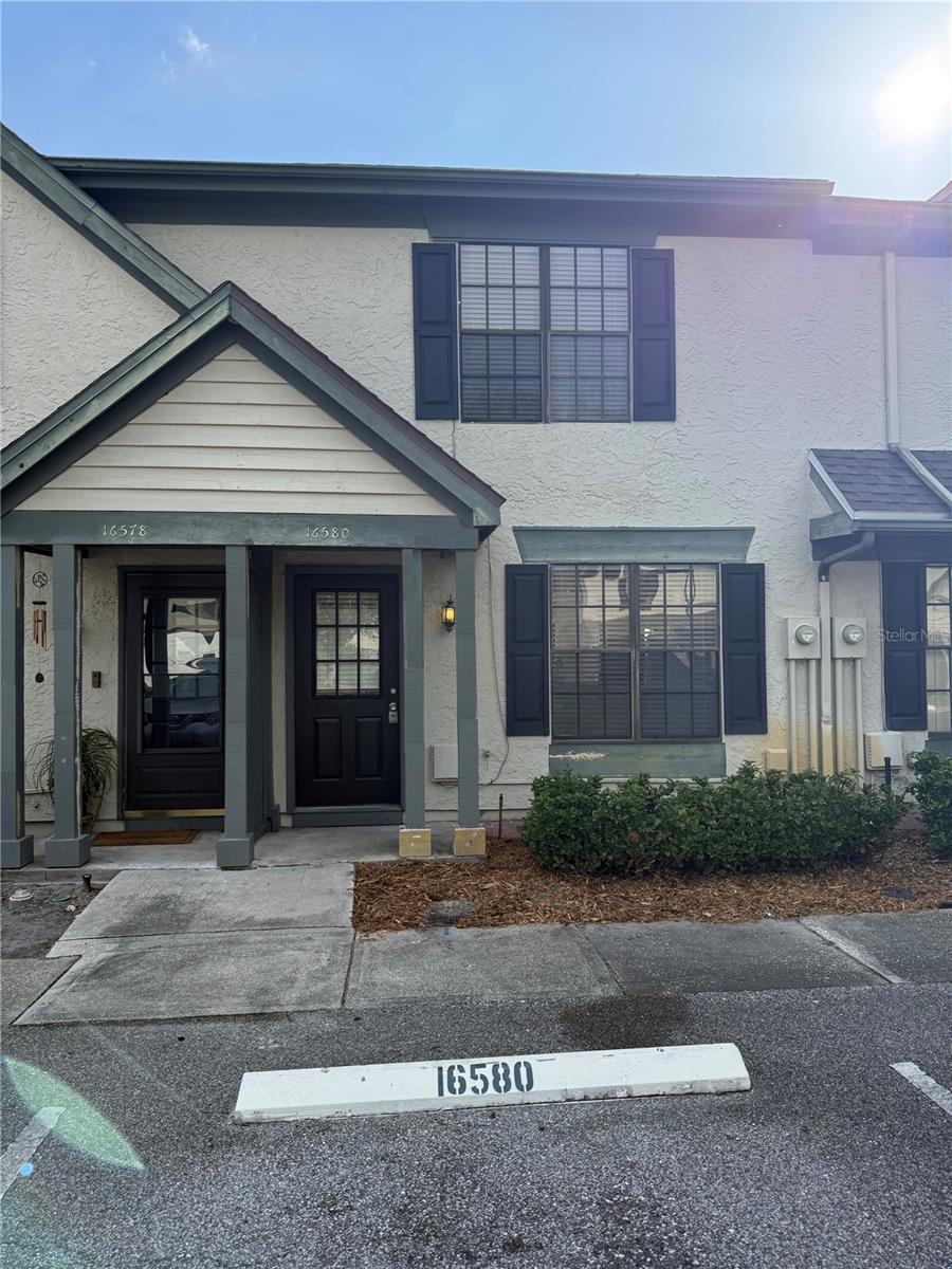 16580 BRIGADOON DRIVE, TAMPA, FL, 33618