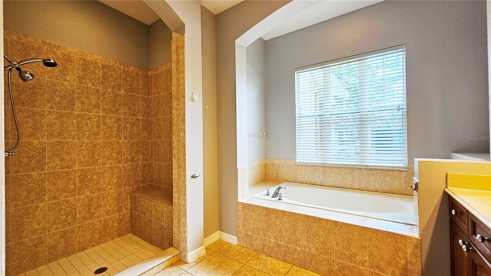 12761 BIDEFORD AVE, WINDERMERE, FL, 34786