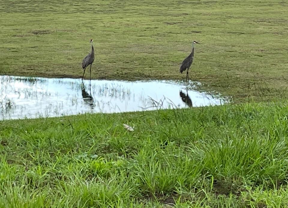 416 RIDERS LOOP, AUBURNDALE, FL, 33823