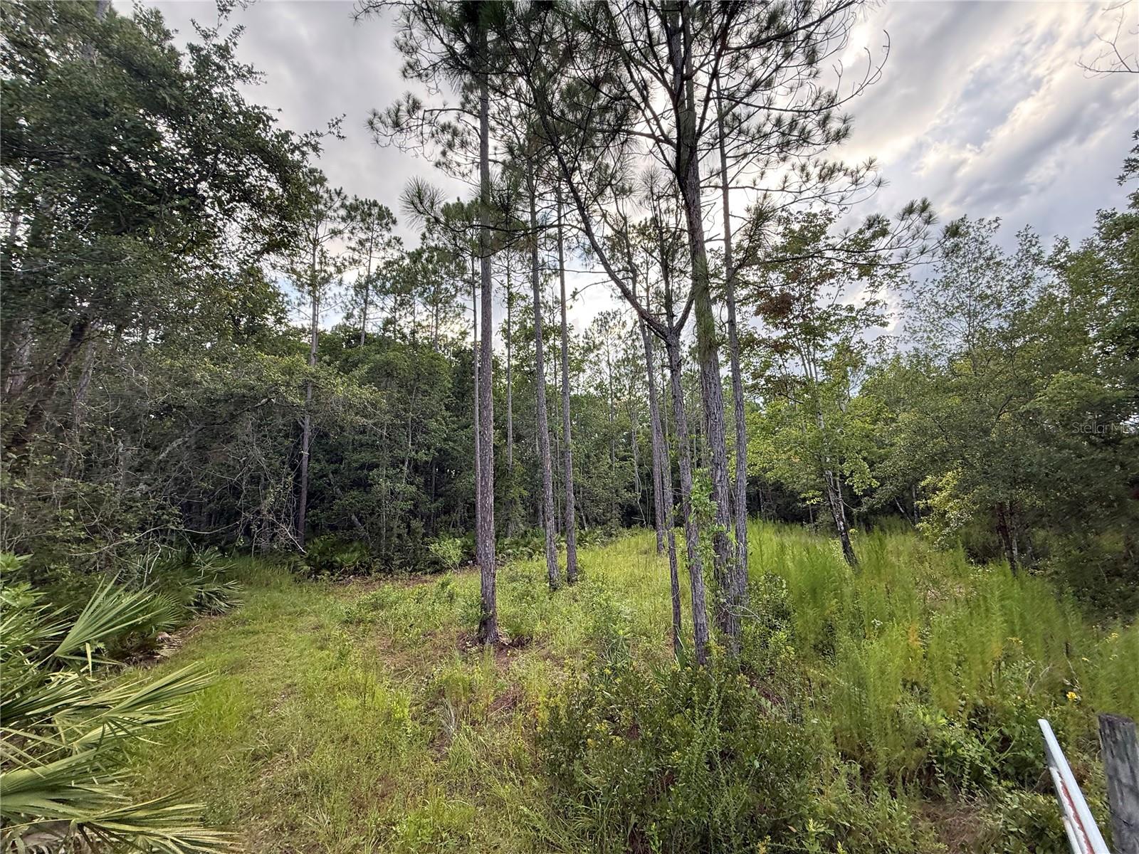 1505 COUNTY ROAD 13, BUNNELL, FL, 32110