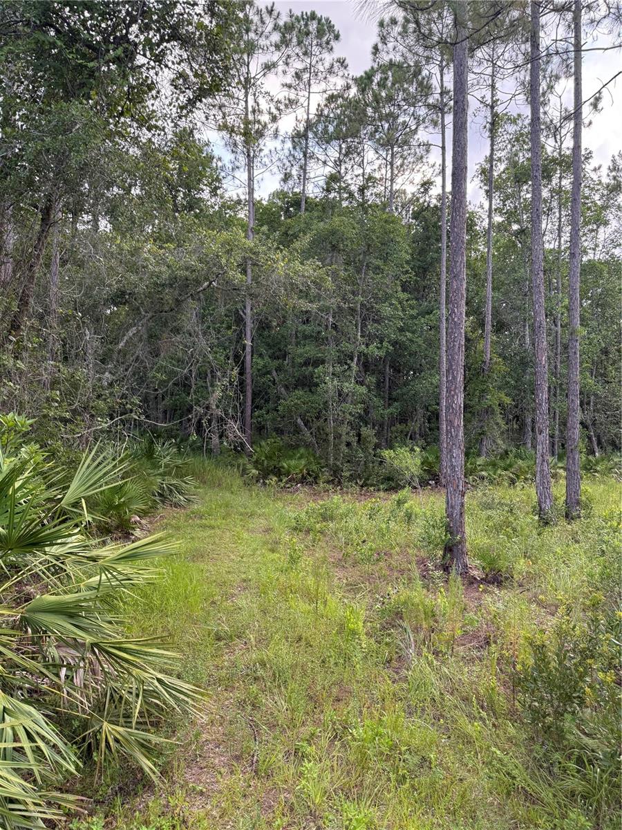 1505 COUNTY ROAD 13, BUNNELL, FL, 32110
