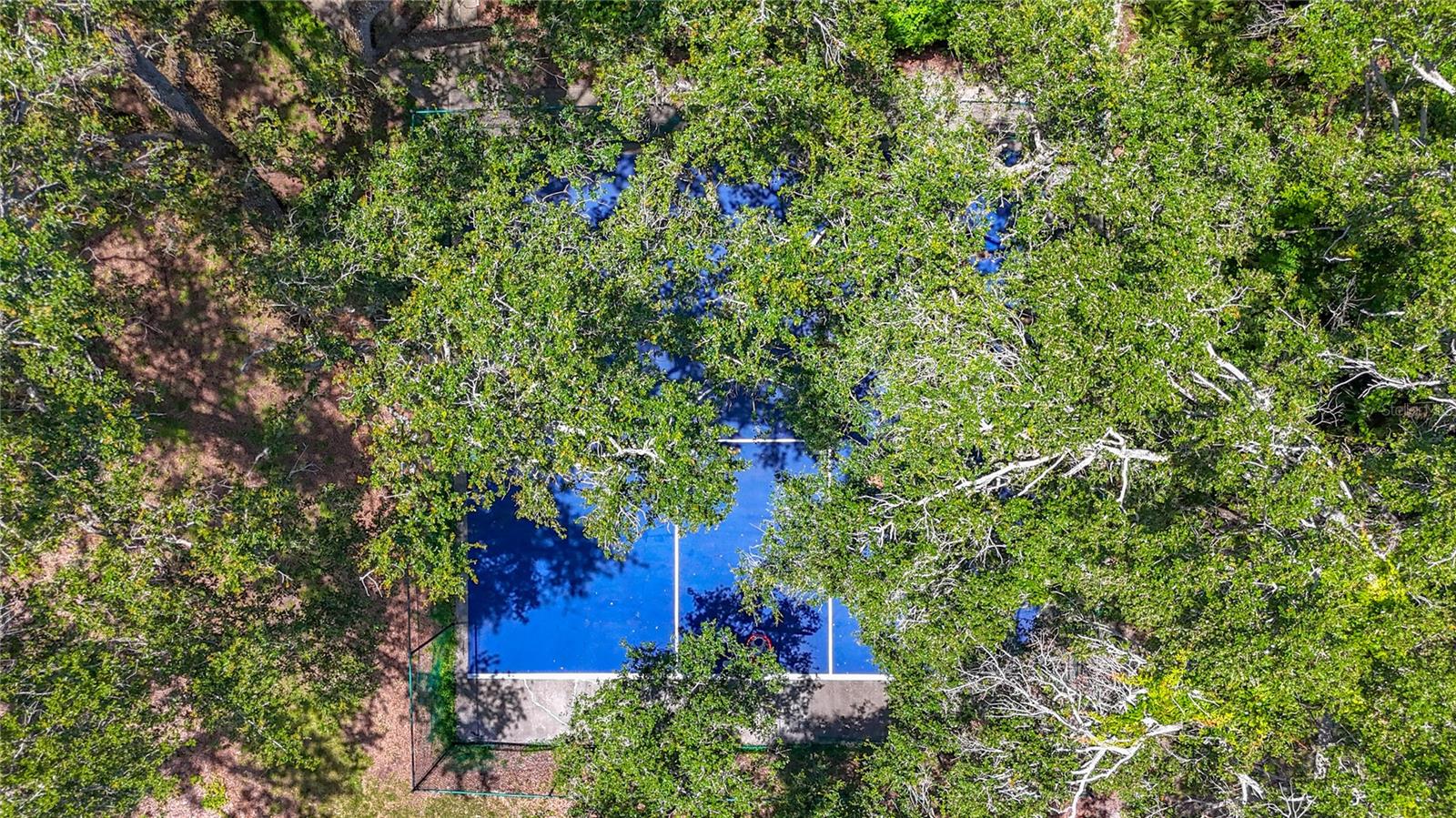 738 1ST CT, PALM HARBOR, FL, 34684