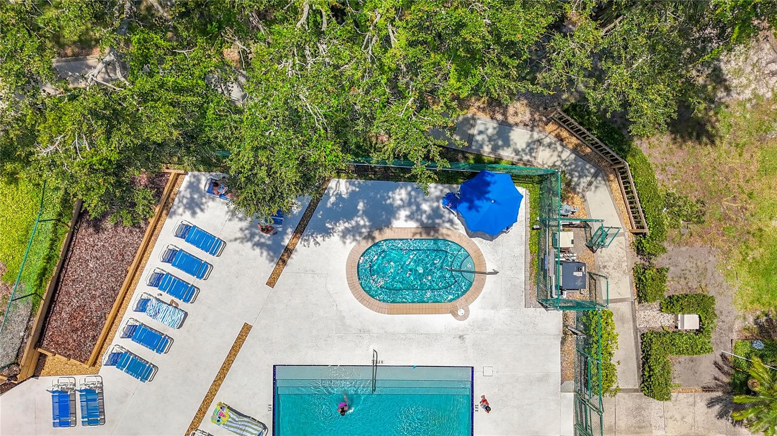 738 1ST CT, PALM HARBOR, FL, 34684