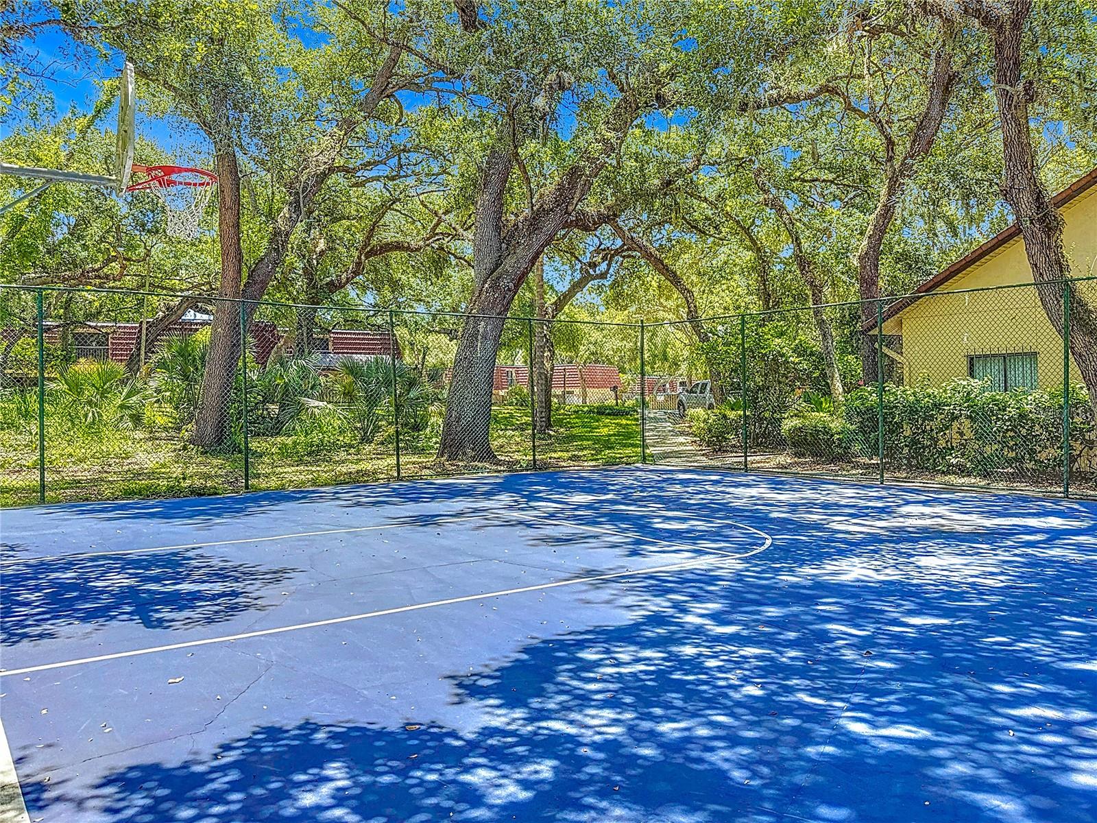 738 1ST CT, PALM HARBOR, FL, 34684