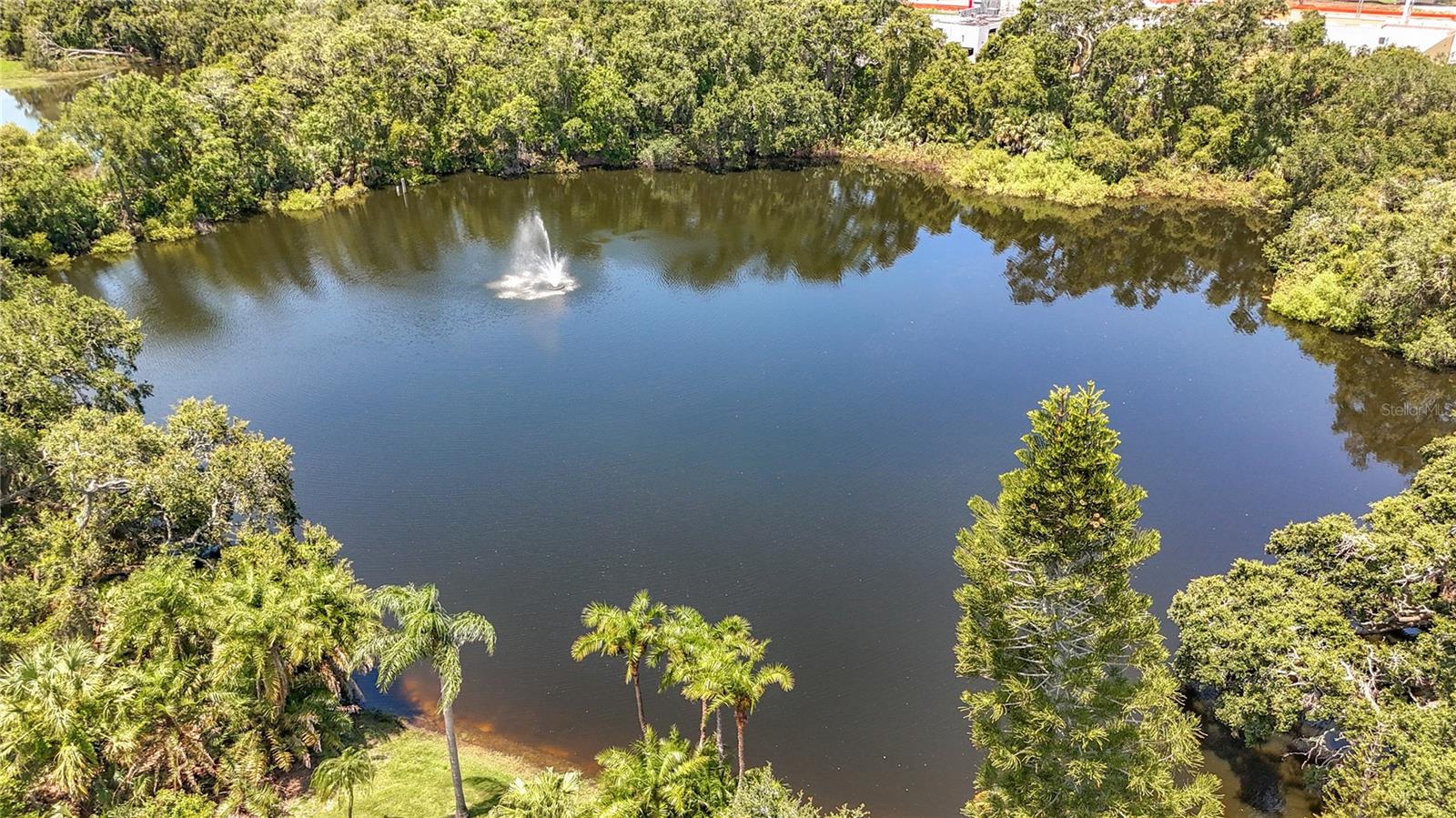 738 1ST CT, PALM HARBOR, FL, 34684
