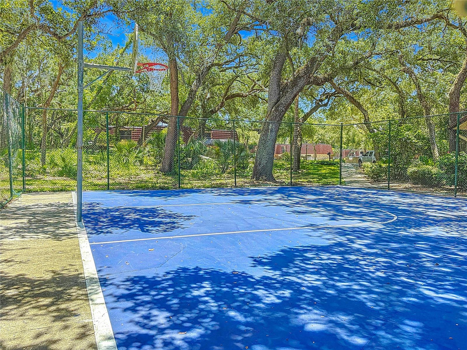 738 1ST CT, PALM HARBOR, FL, 34684