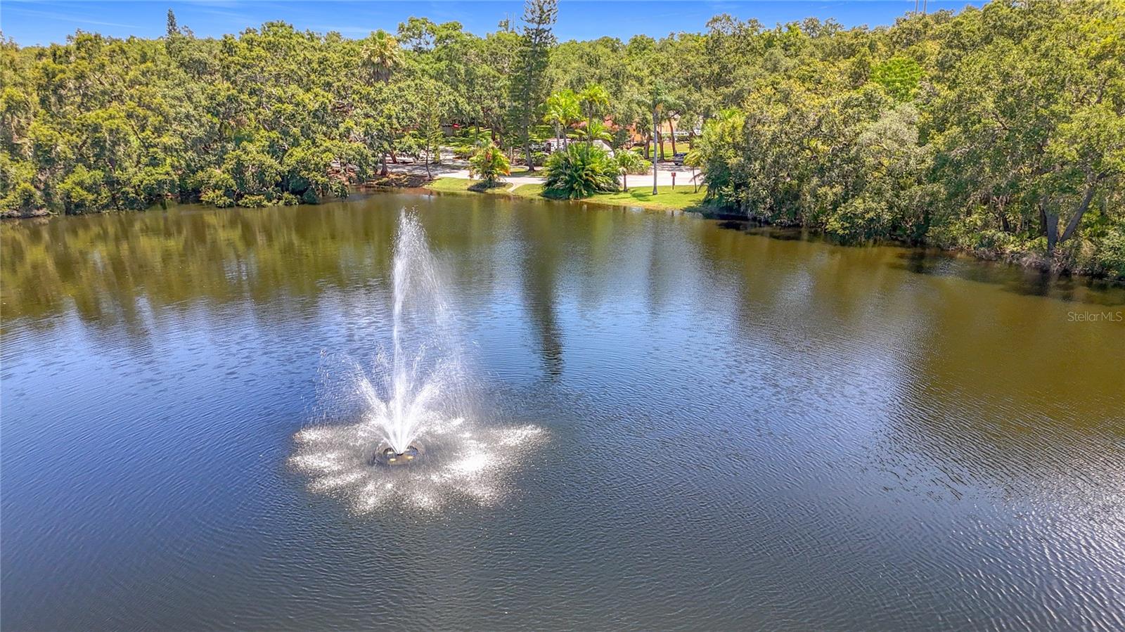 738 1ST CT, PALM HARBOR, FL, 34684