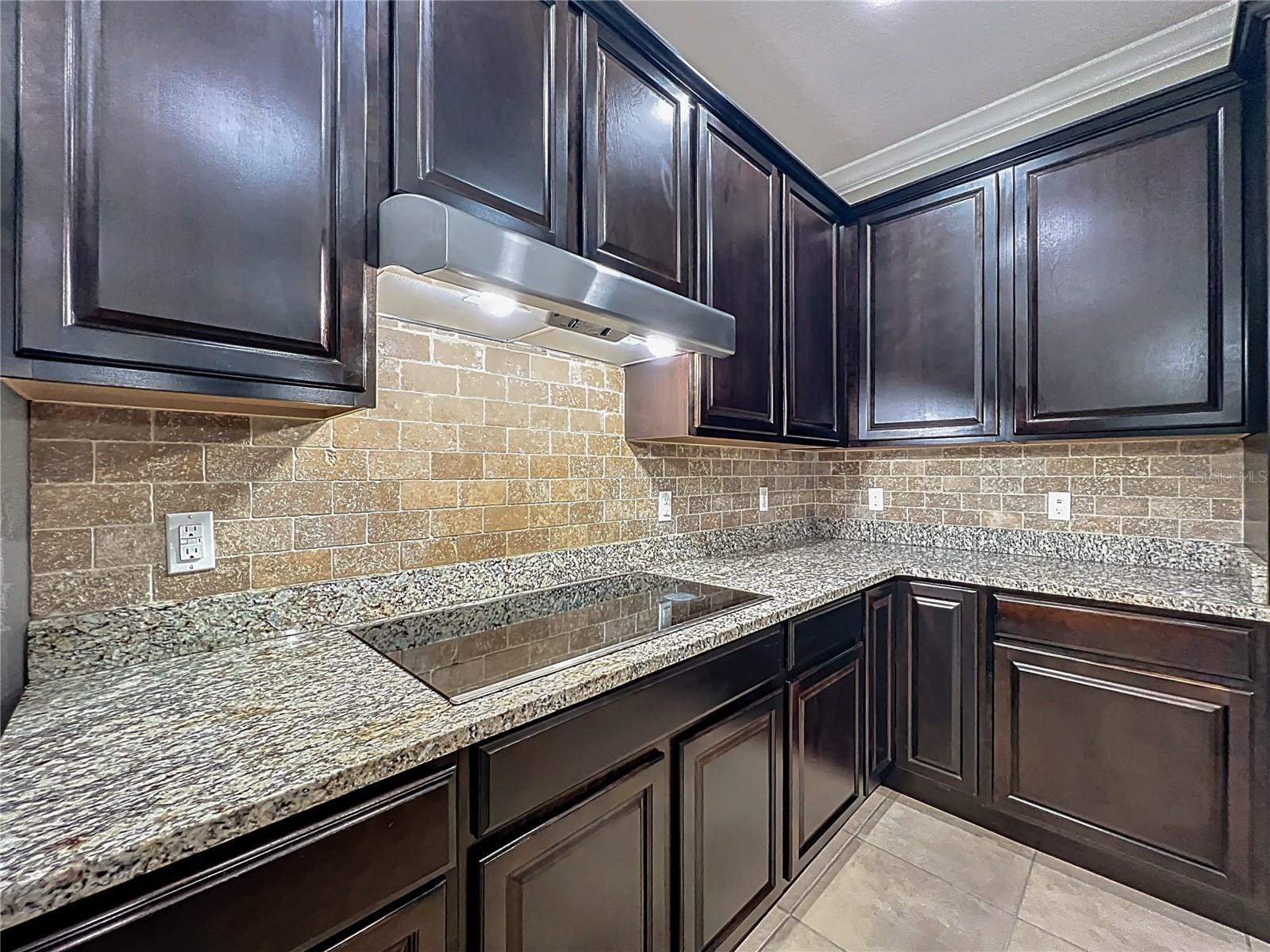 30418 PLYMOUTH CREEK CIR, SORRENTO, FL, 32776