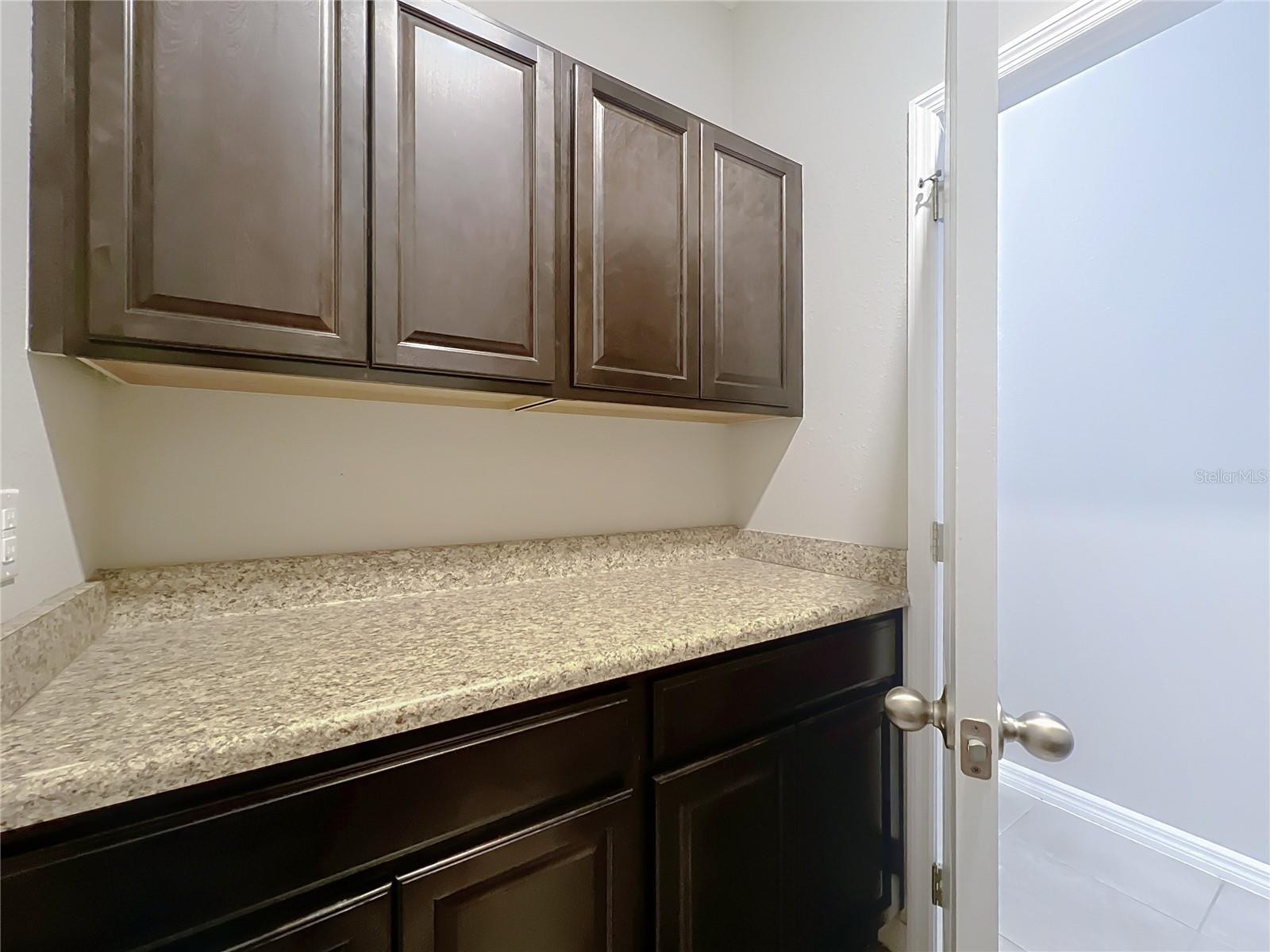 30418 PLYMOUTH CREEK CIR, SORRENTO, FL, 32776