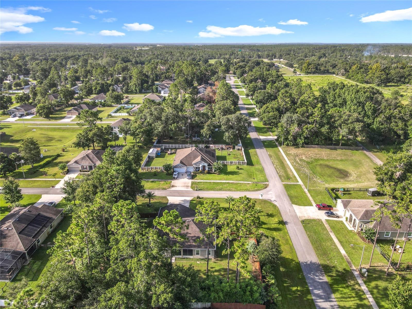 30418 PLYMOUTH CREEK CIR, SORRENTO, FL, 32776