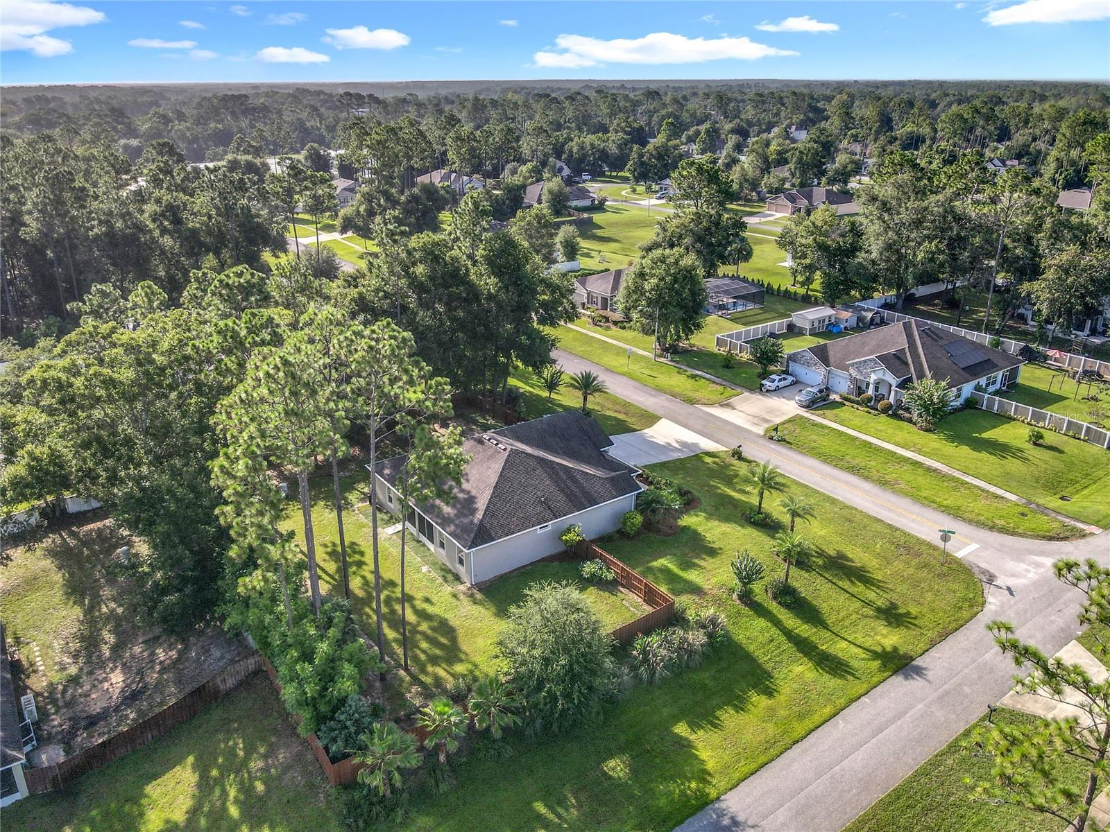 30418 PLYMOUTH CREEK CIR, SORRENTO, FL, 32776