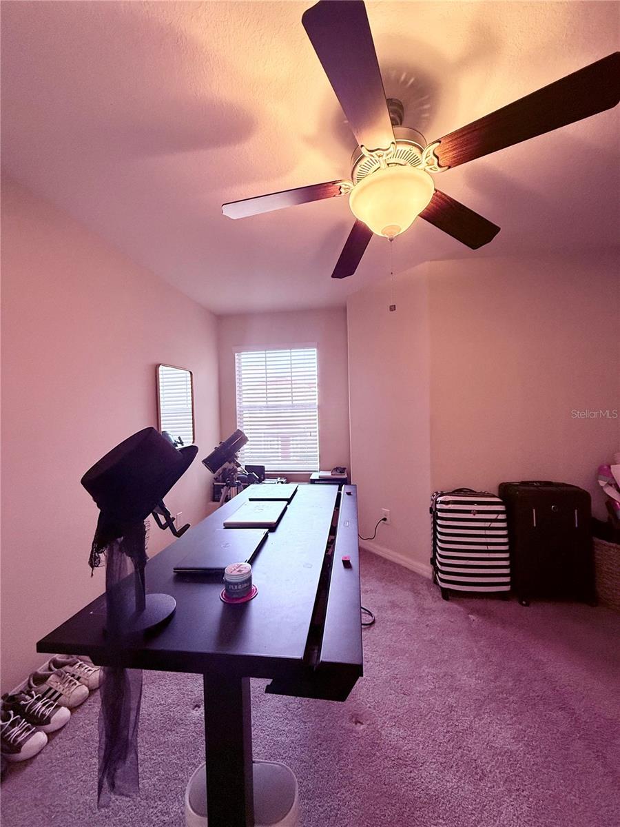 2411 WILLIMETTE DR, WESLEY CHAPEL, FL, 33543