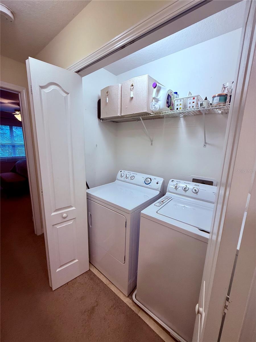 2411 WILLIMETTE DR, WESLEY CHAPEL, FL, 33543