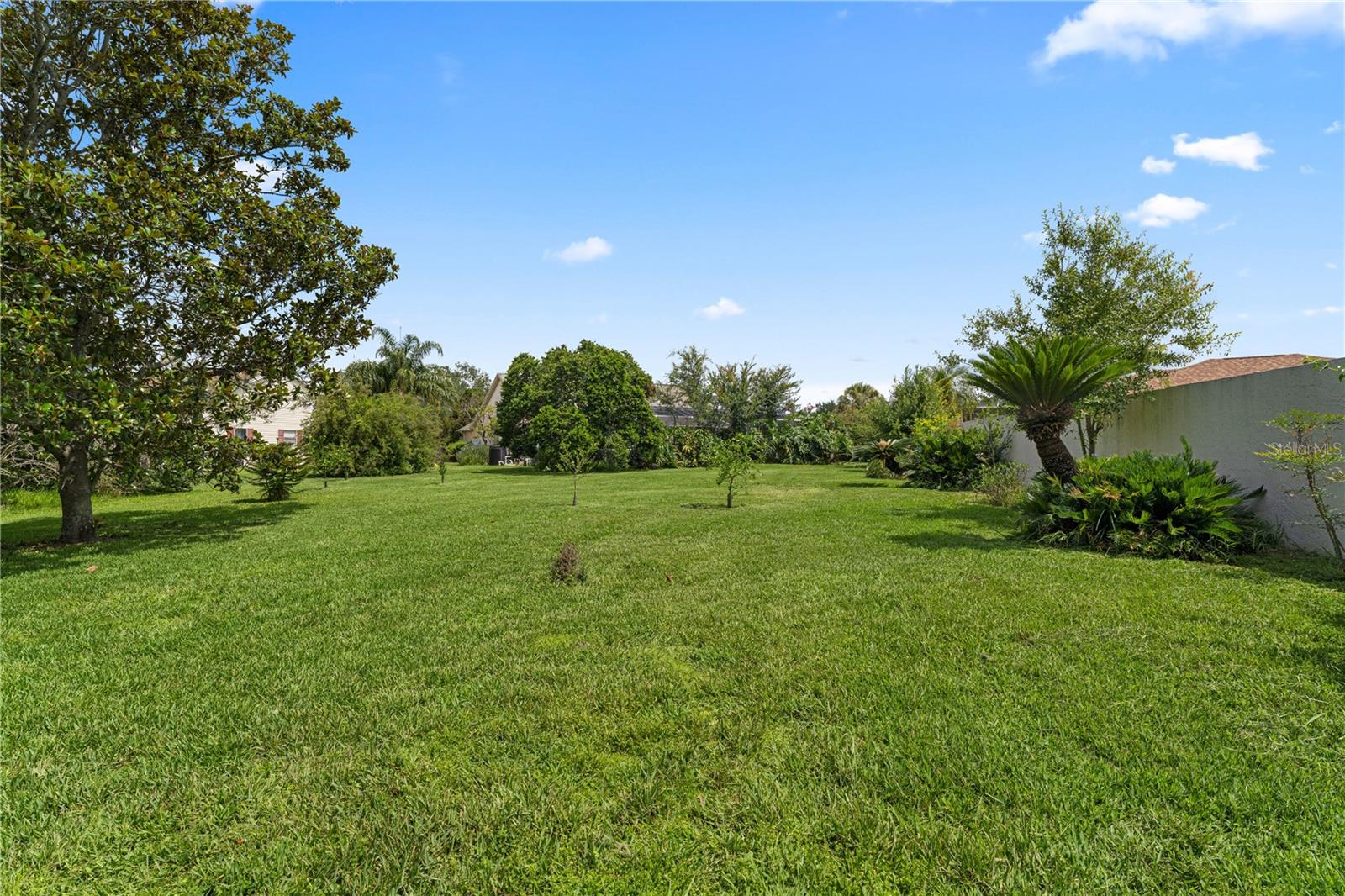 1302 LOPEZ LN, THE VILLAGES, FL, 32159