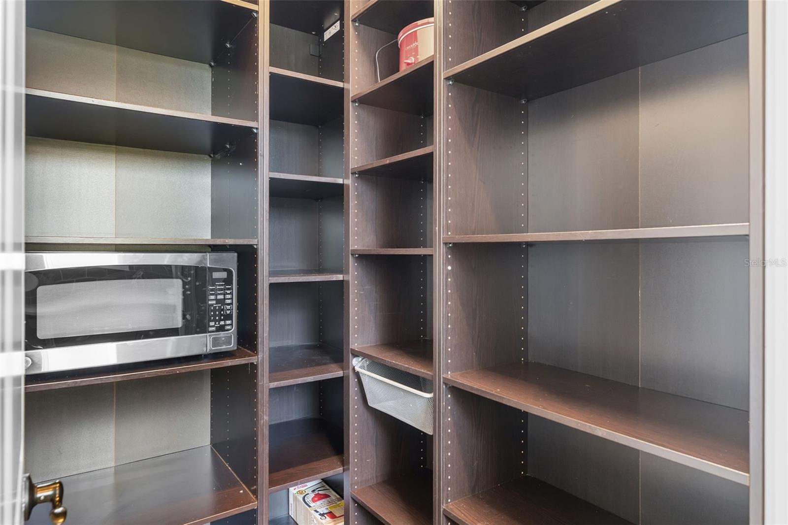 14288 CREEKBED CIR, WINTER GARDEN, FL, 34787