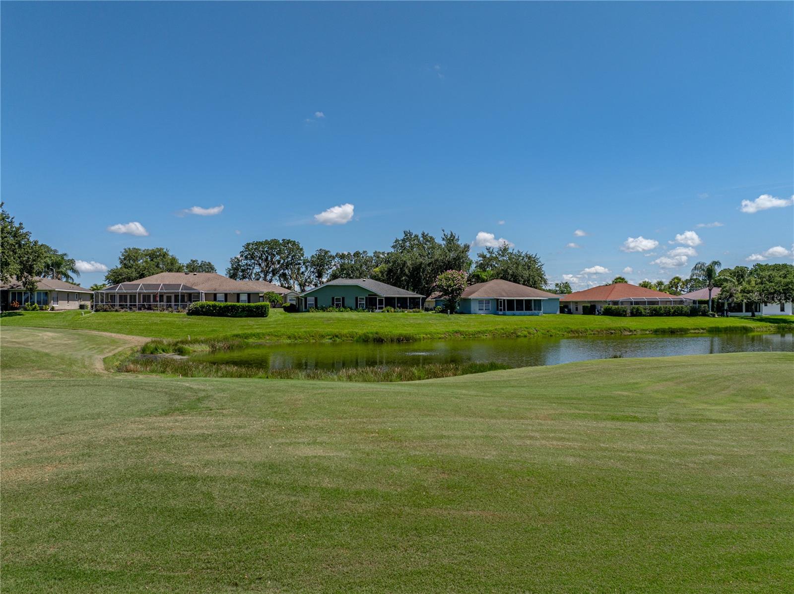 29211 CADDYSHACK LN, SAN ANTONIO, FL, 33576