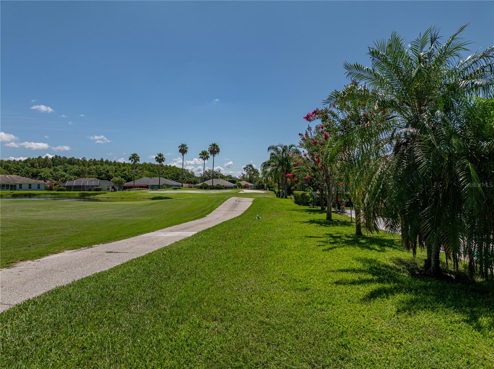 29211 CADDYSHACK LN, SAN ANTONIO, FL, 33576