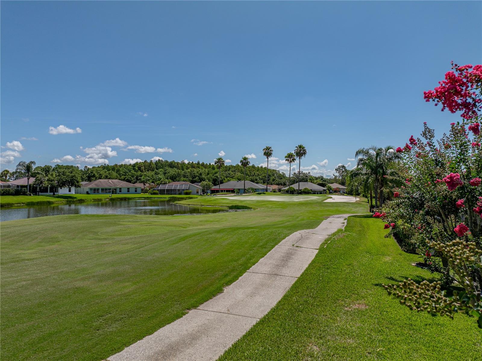 29211 CADDYSHACK LN, SAN ANTONIO, FL, 33576