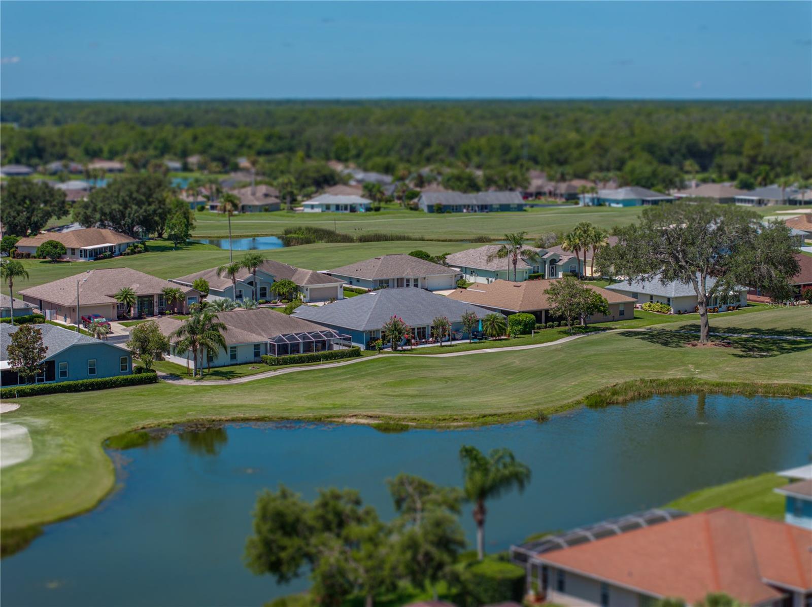 29211 CADDYSHACK LN, SAN ANTONIO, FL, 33576