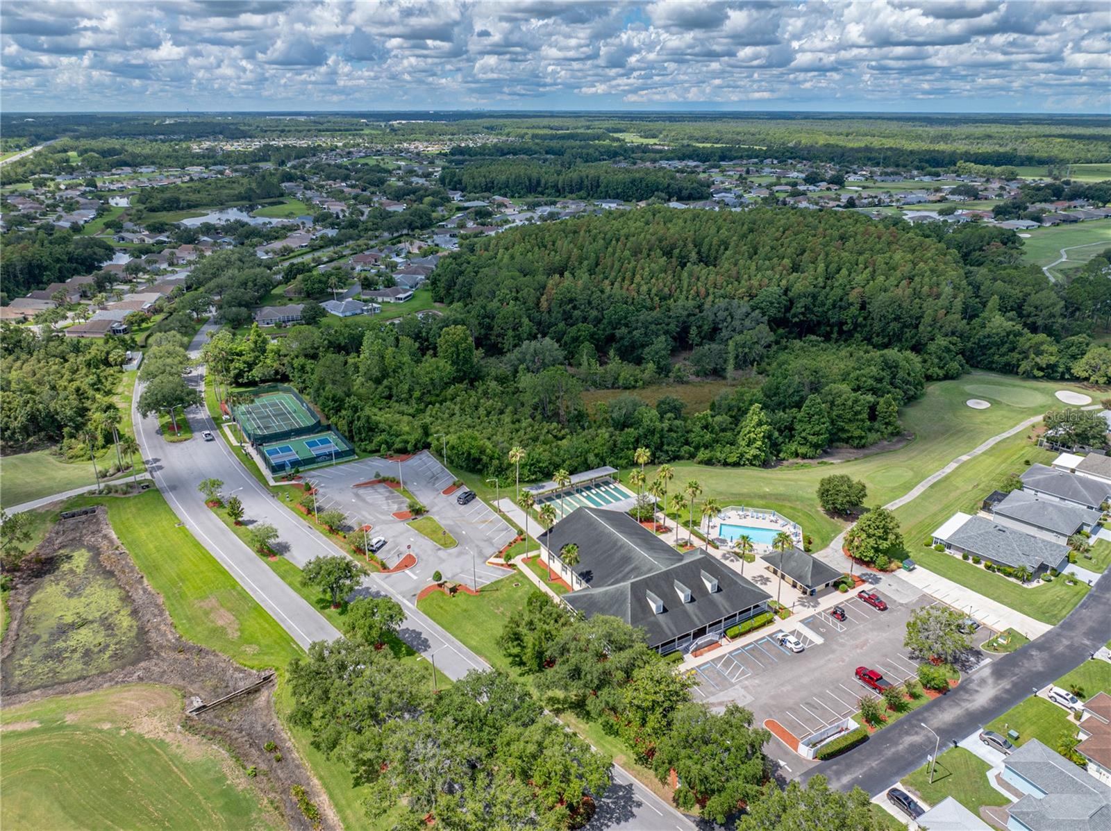 29211 CADDYSHACK LN, SAN ANTONIO, FL, 33576