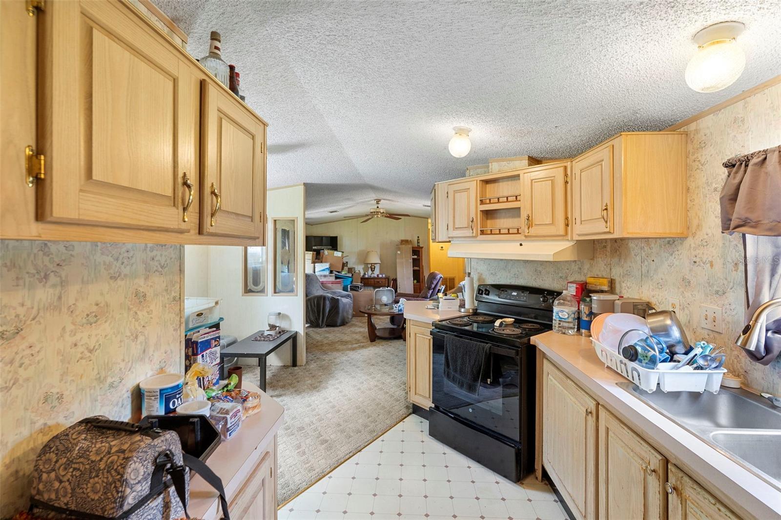 31338 EVERGREEN DR, DELAND, FL, 32720