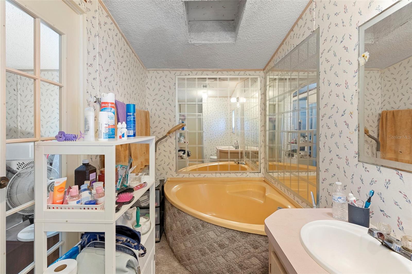 31338 EVERGREEN DR, DELAND, FL, 32720