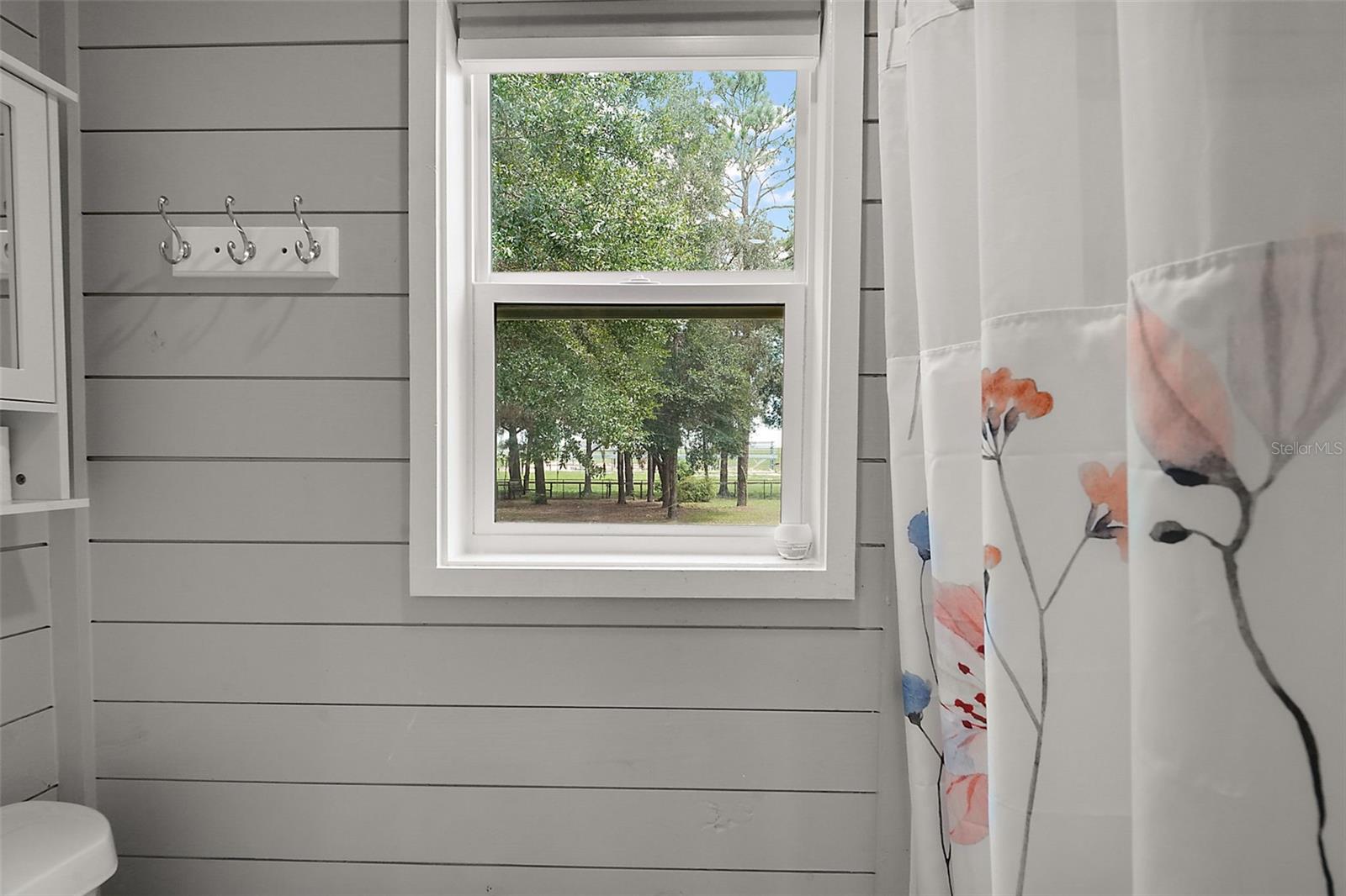 16231 SE 80TH ST, MORRISTON, FL, 32668