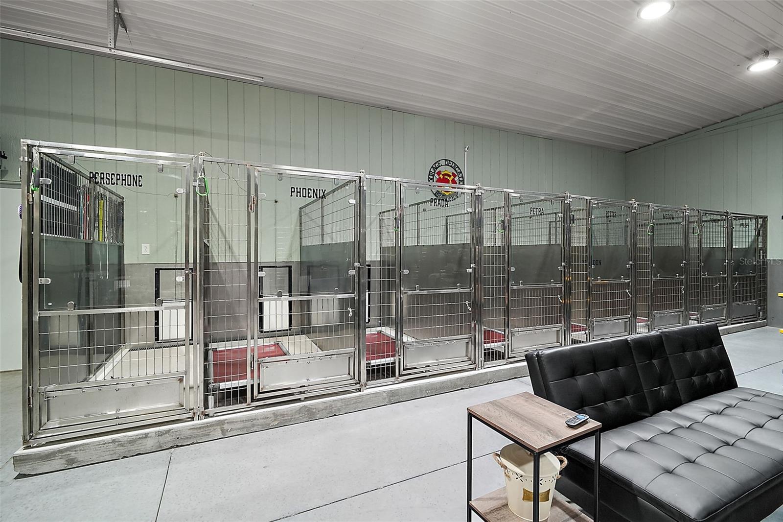 16231 SE 80TH ST, MORRISTON, FL, 32668