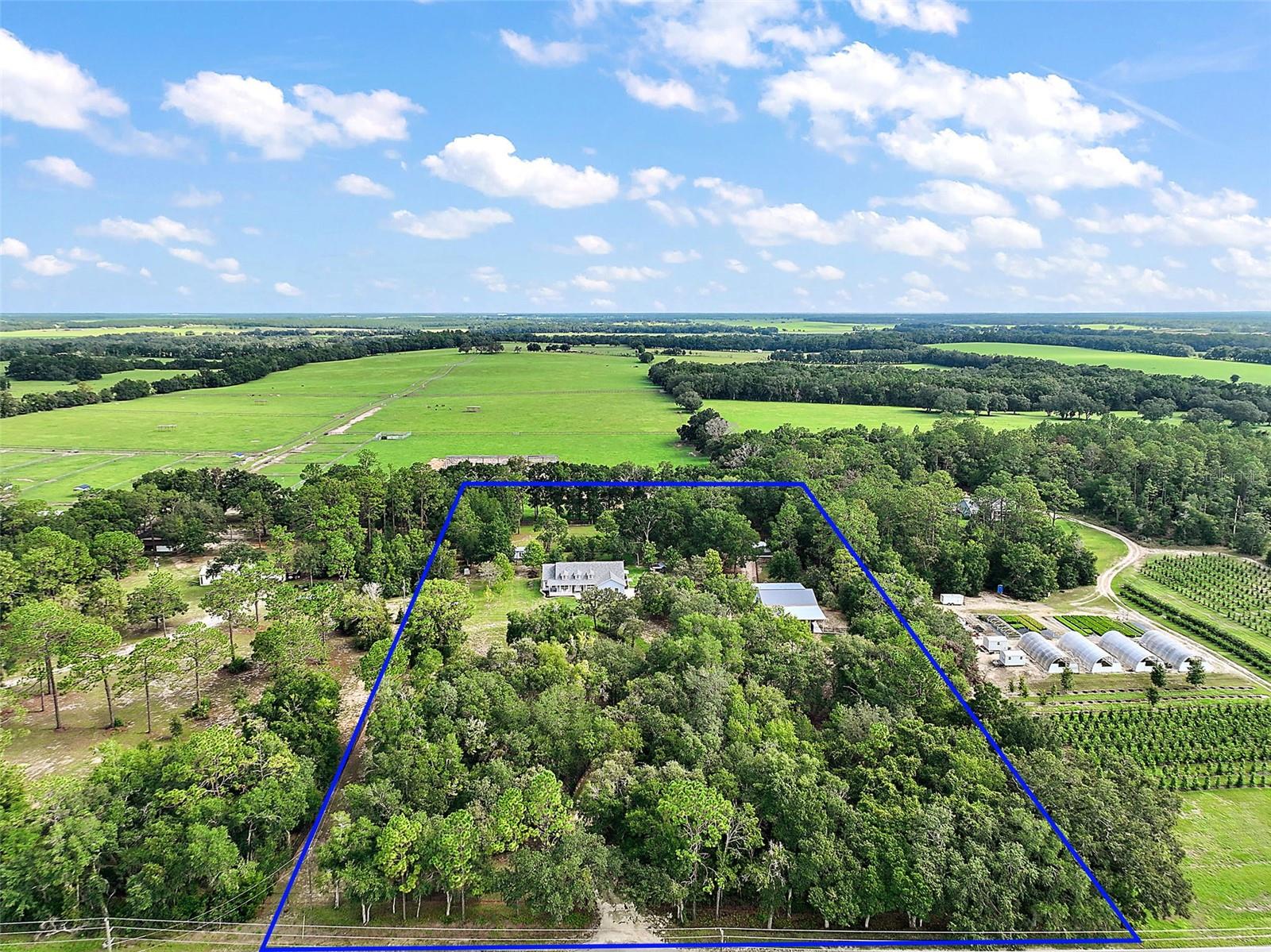 16231 SE 80TH ST, MORRISTON, FL, 32668