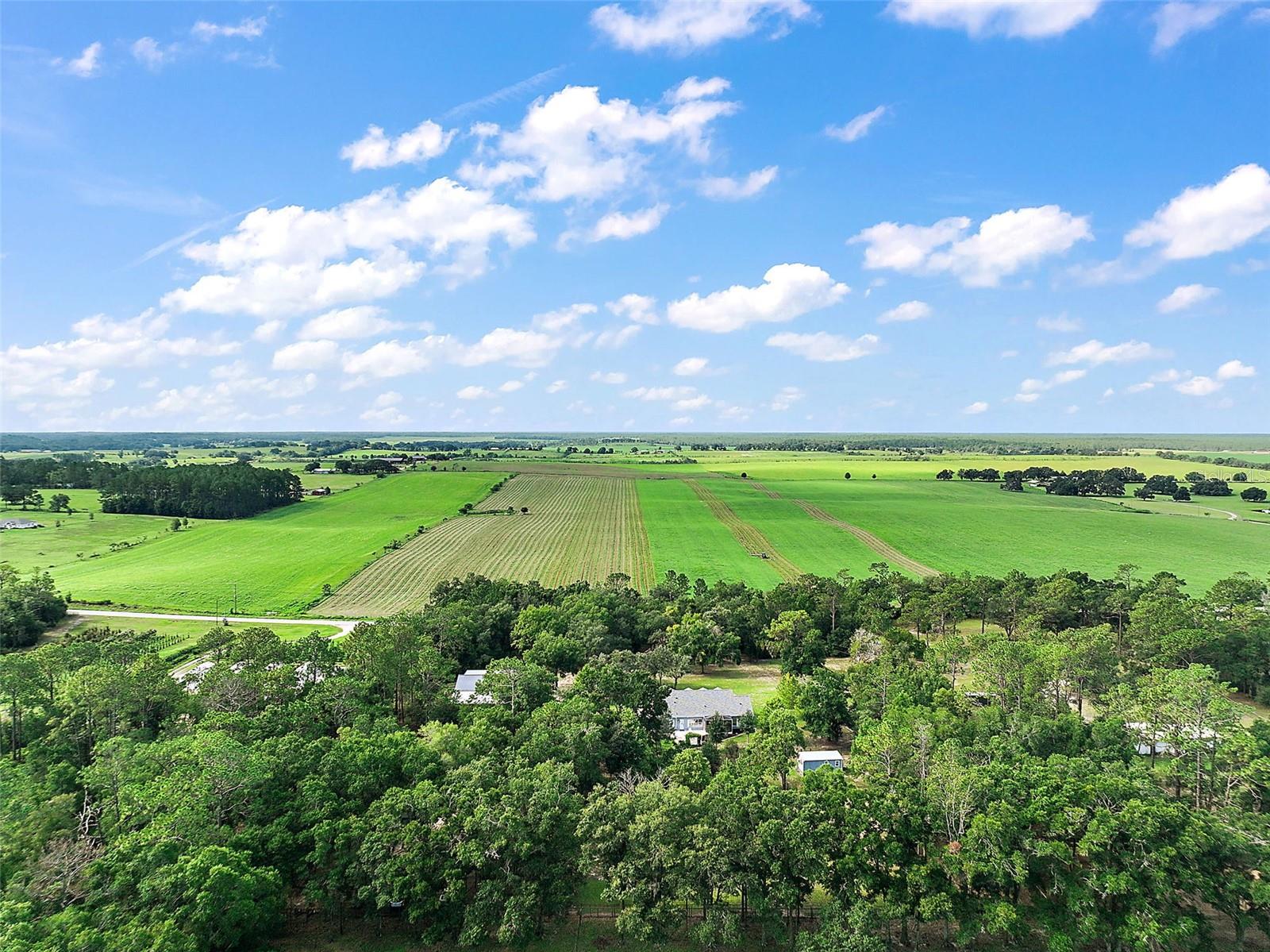 16231 SE 80TH ST, MORRISTON, FL, 32668