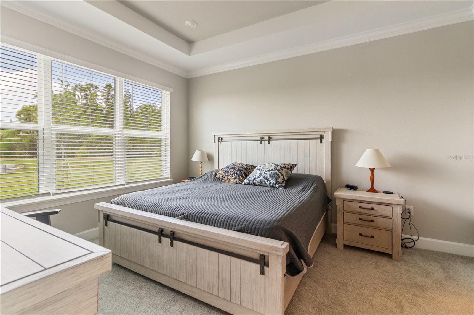 29544 VELLETRI LN, WESLEY CHAPEL, FL, 33543