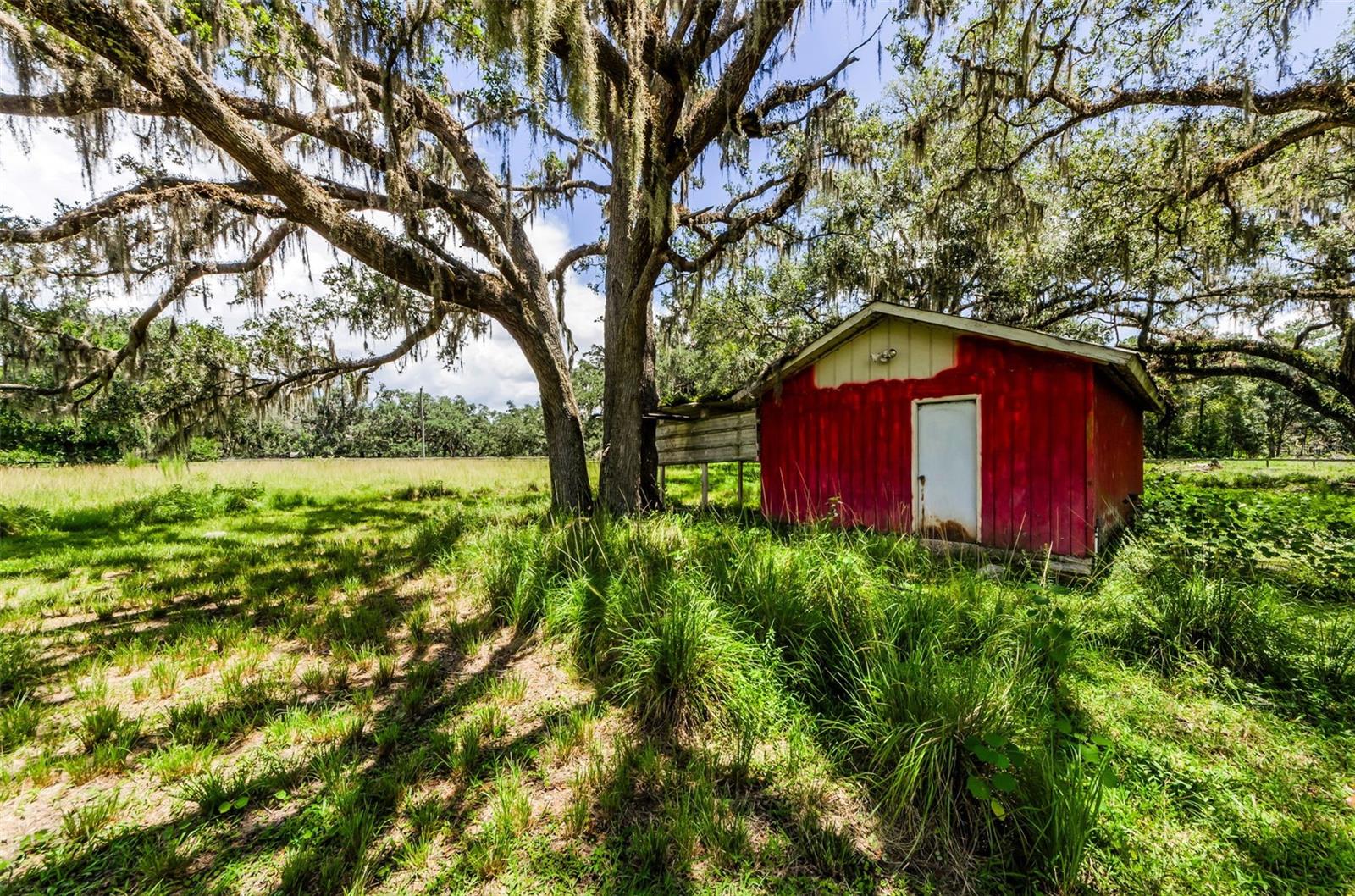 22327 MIZELL RD, BROOKSVILLE, FL, 34602