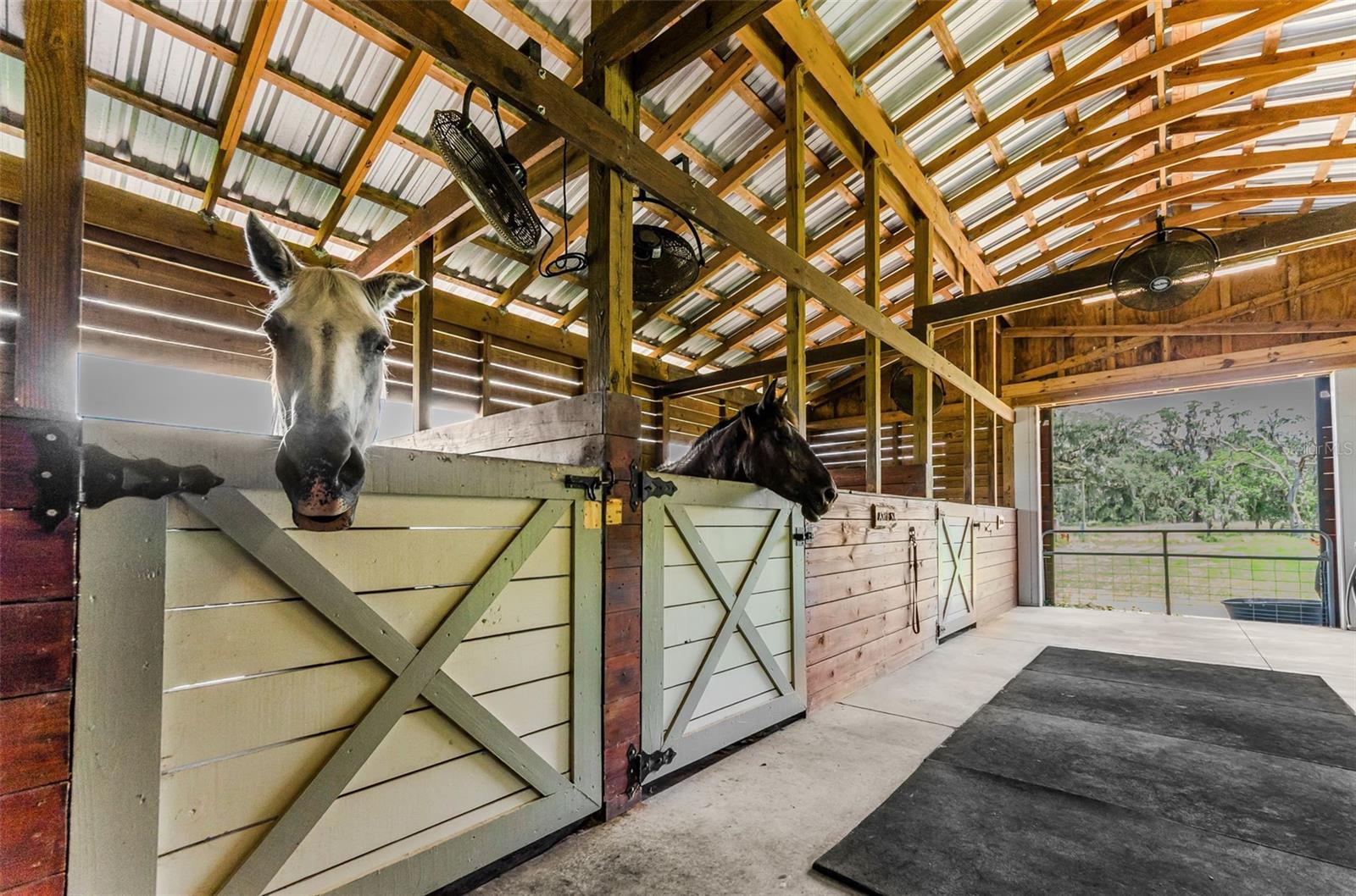 22327 MIZELL RD, BROOKSVILLE, FL, 34602