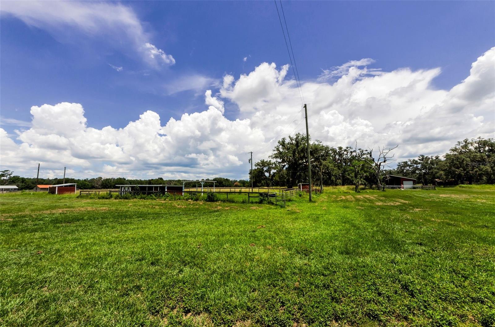 22327 MIZELL RD, BROOKSVILLE, FL, 34602