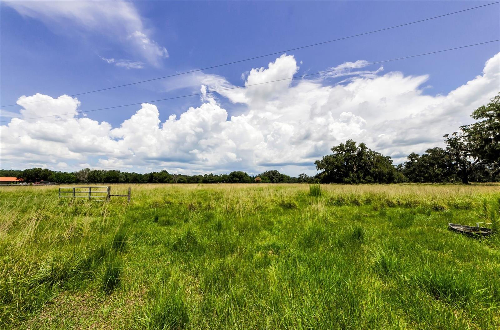 22327 MIZELL RD, BROOKSVILLE, FL, 34602