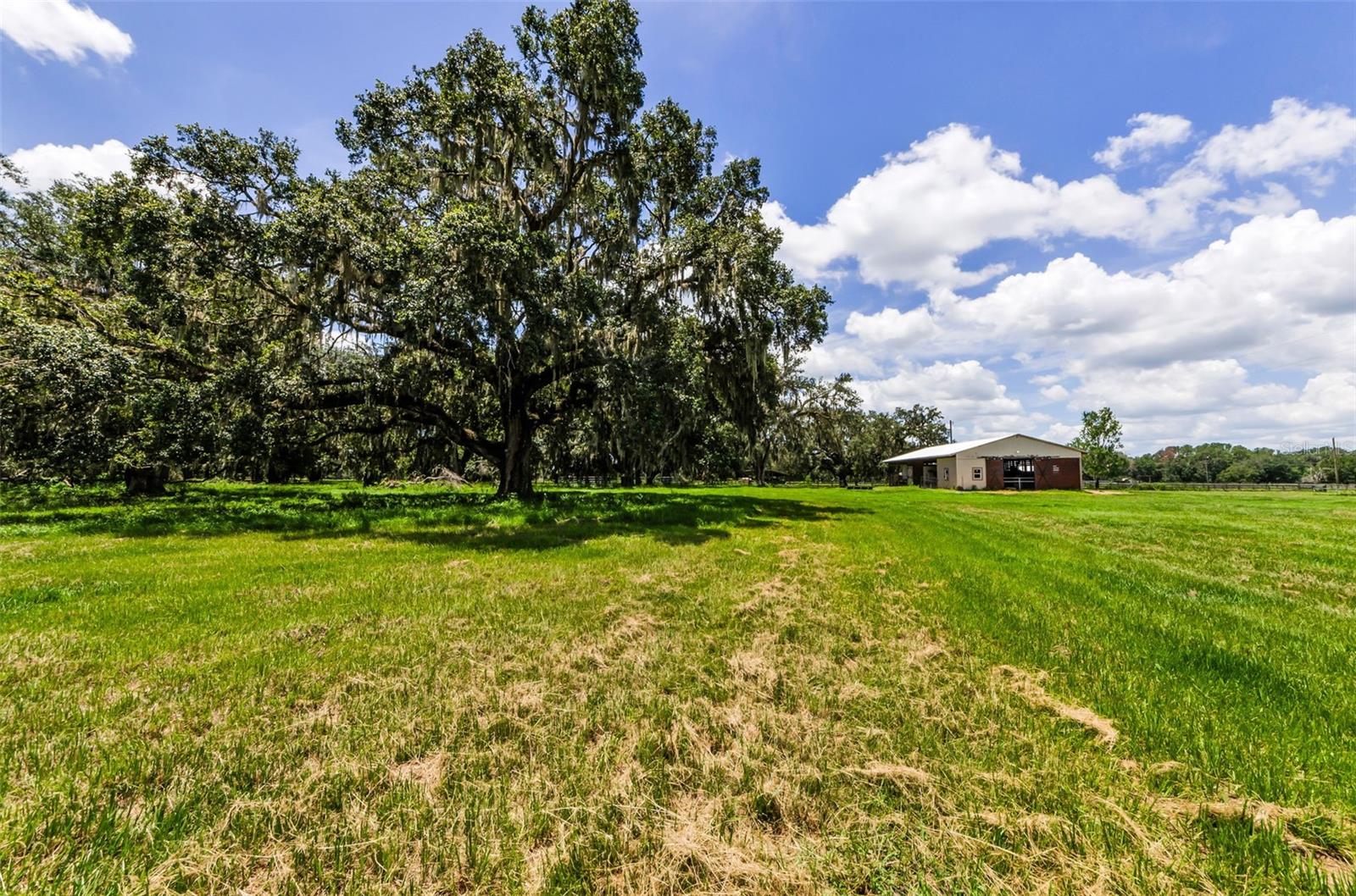 22327 MIZELL RD, BROOKSVILLE, FL, 34602