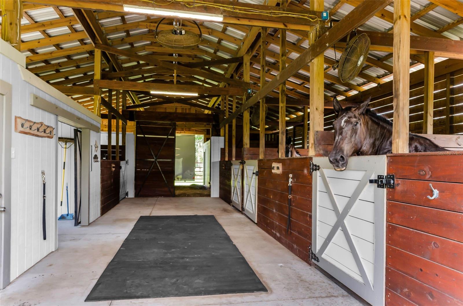 22327 MIZELL RD, BROOKSVILLE, FL, 34602