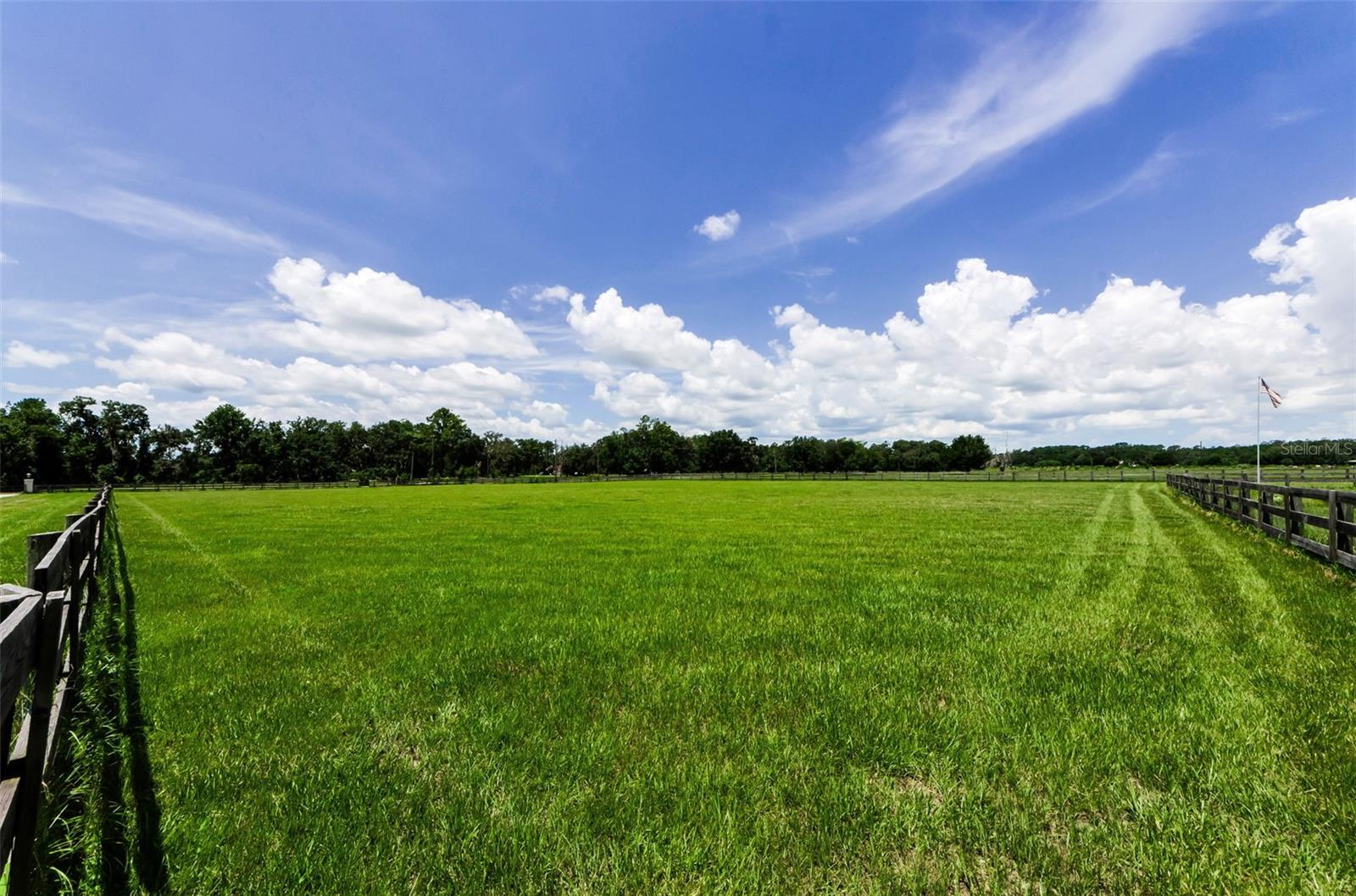 22327 MIZELL RD, BROOKSVILLE, FL, 34602