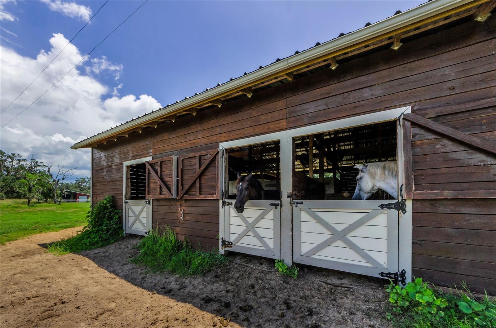 22327 MIZELL RD, BROOKSVILLE, FL, 34602