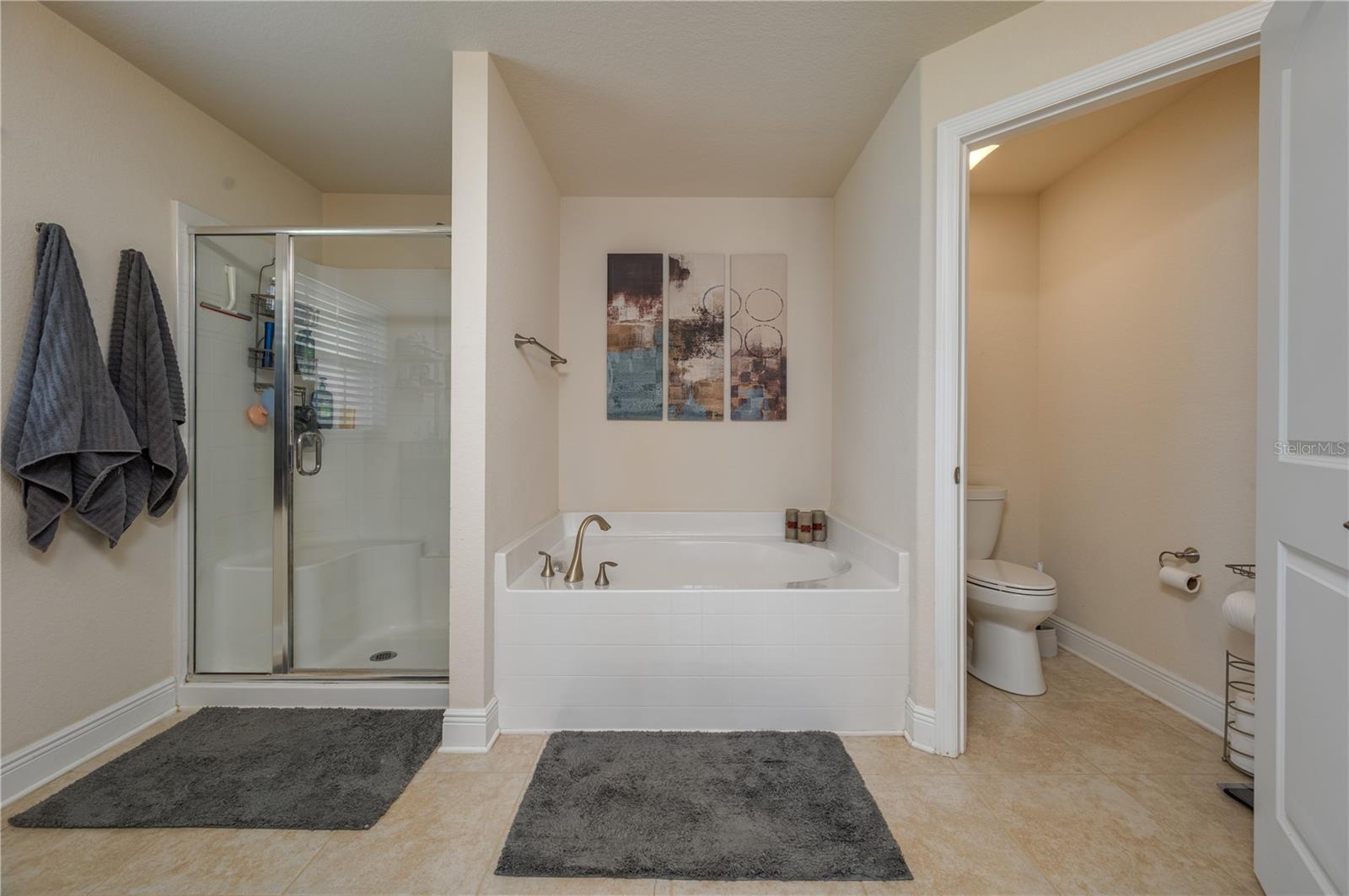 702 COUNTRY WALK CV, EAGLE LAKE, FL, 33839