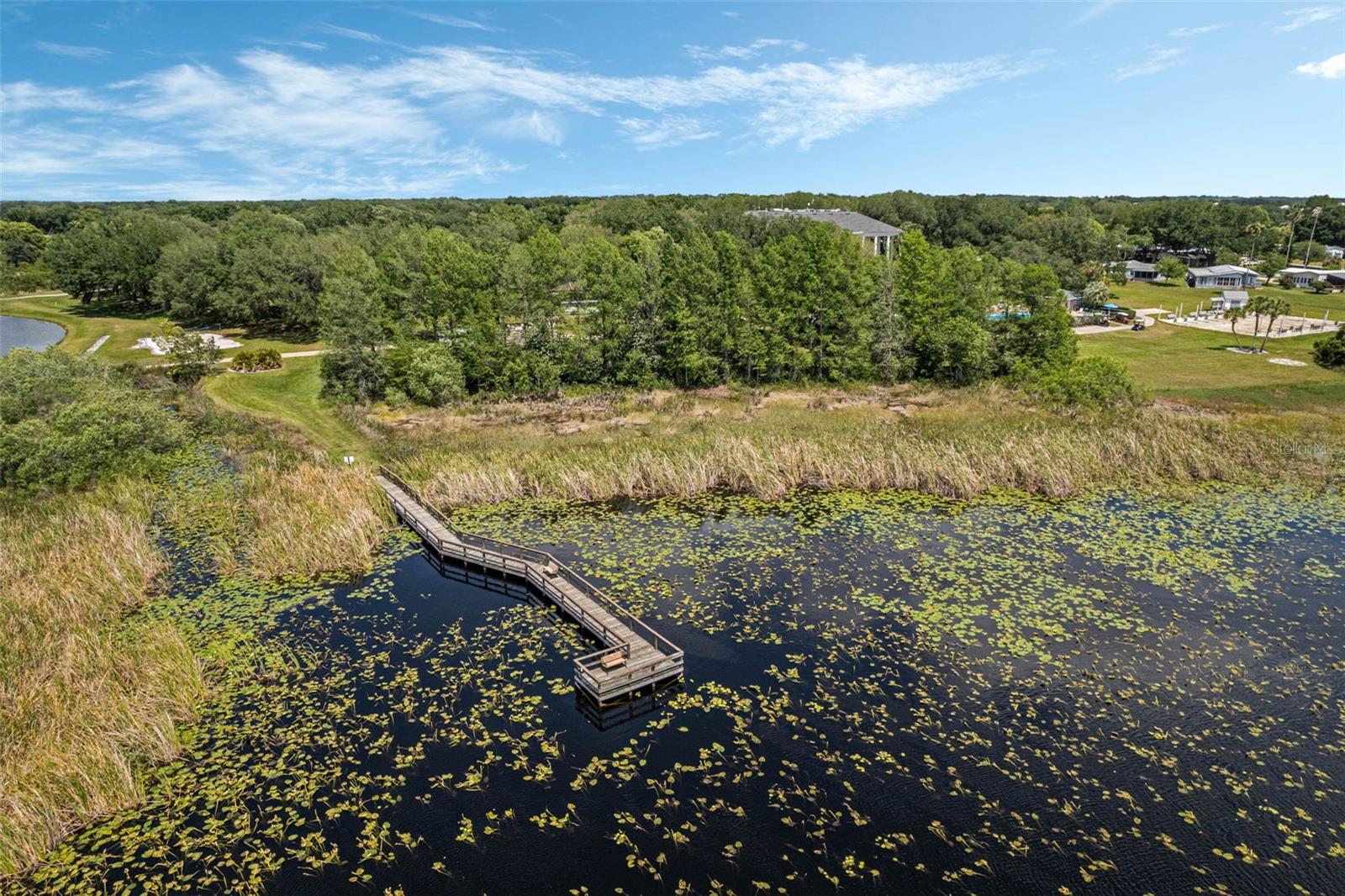 25545 LAUREL VALLEY RD, LEESBURG, FL, 34748